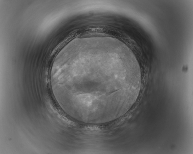 X0000114590194200911301407
