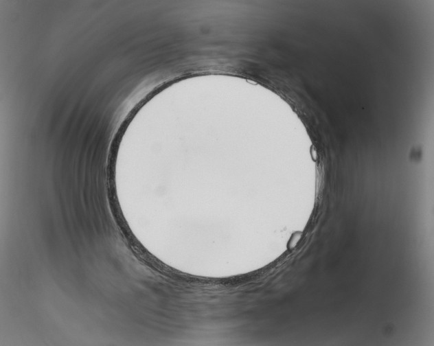 X0000114590195200911301407