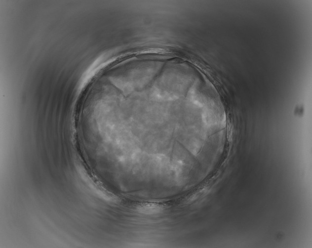 X0000114590198200911301407