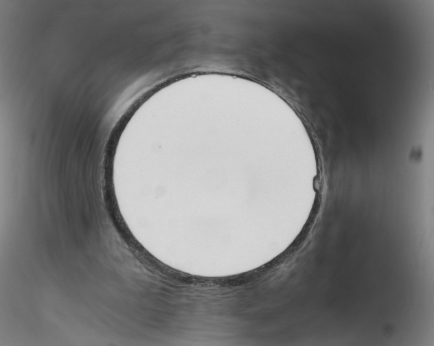 X0000114590199200911301407