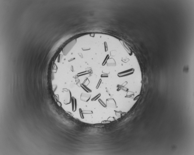 X0000114590200200911301407