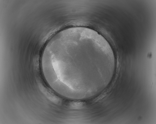 X0000114590202200911301407