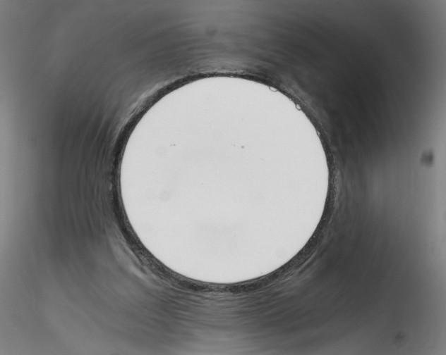 X0000114590203200911301407