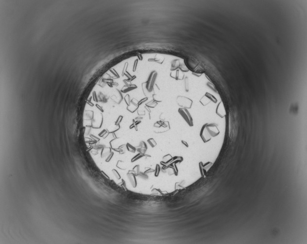 X0000114590204200911301407