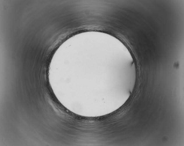 X0000114590205200911301407