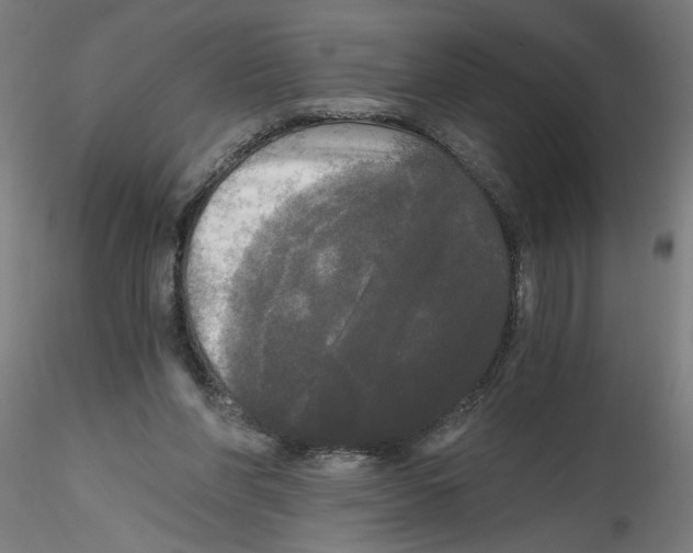 X0000114590206200911301407