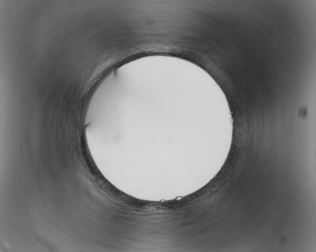 X0000114590207200911301407