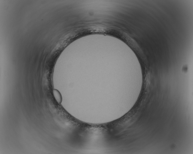 X0000114590209200911301407