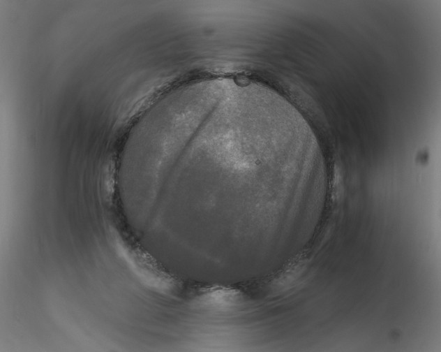 X0000114590210200911301407