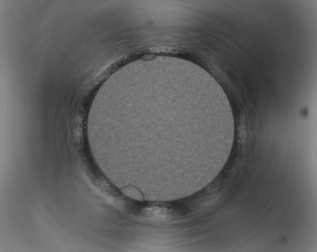 X0000114590211200911301407