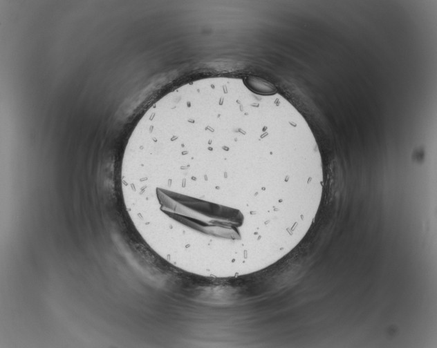 X0000114590212200911301407