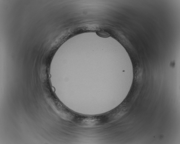 X0000114590213200911301407