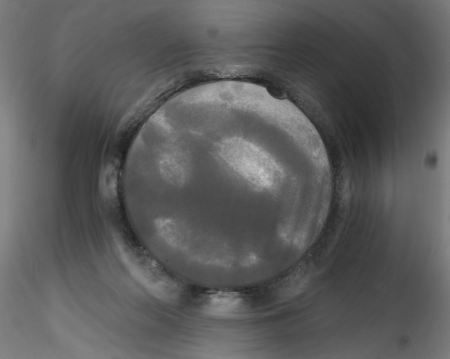X0000114590214200911301407