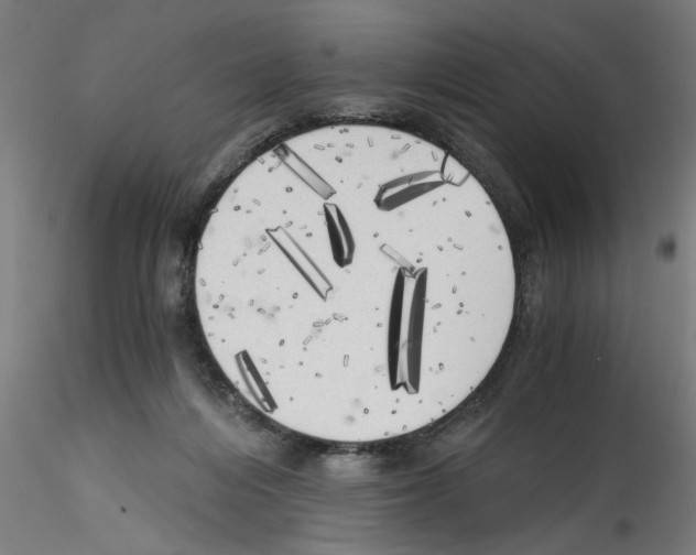 X0000114590216200911301407