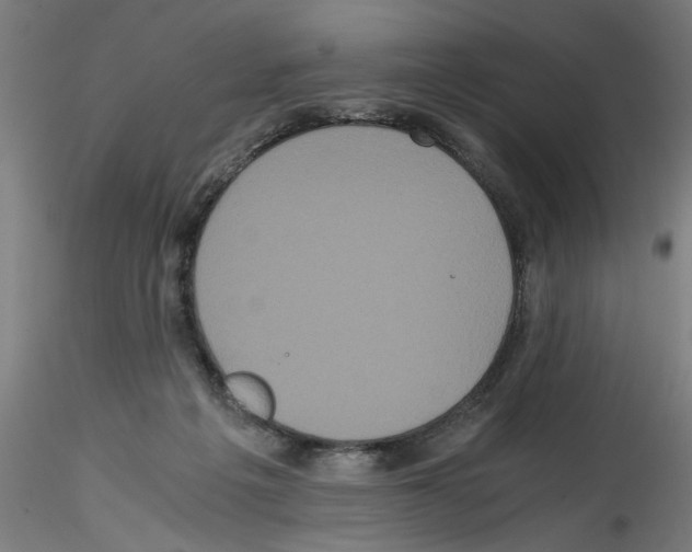 X0000114590217200911301407