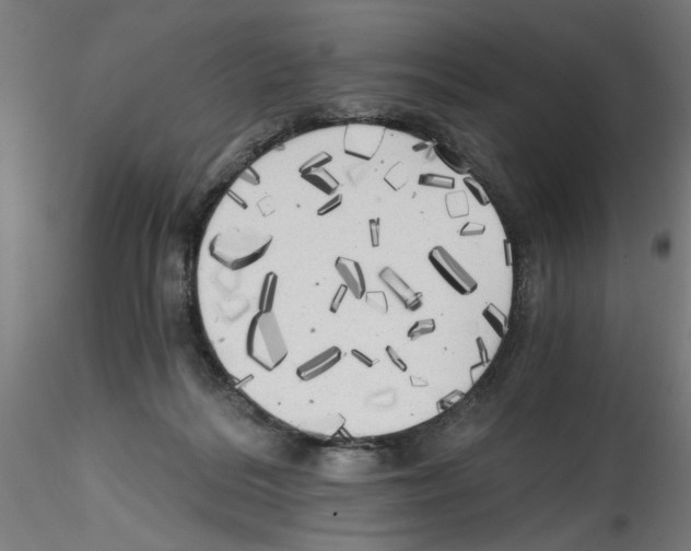 X0000114590220200911301407