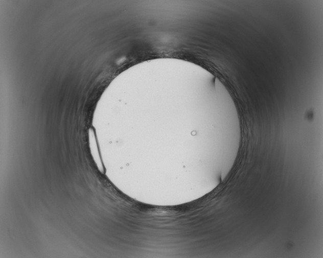 X0000114590221200911301407