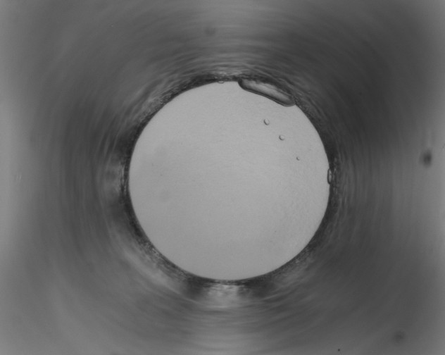 X0000114590227200911301407