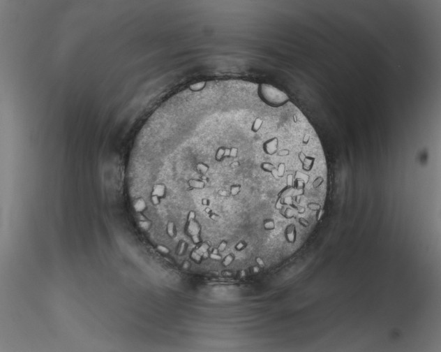 X0000114590228200911301407