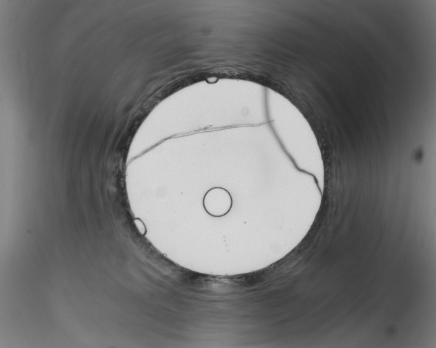 X0000114590229200911301407