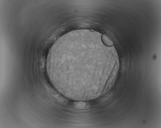X0000114590230200911301407