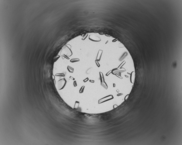 X0000114590232200911301407