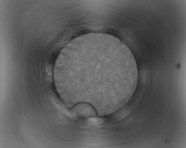 X0000114590234200911301407