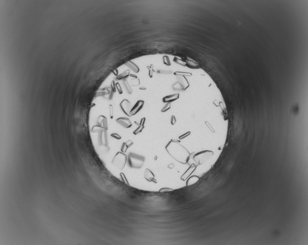 X0000114590236200911301407