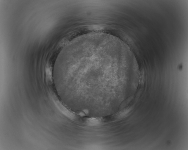 X0000114590238200911301407