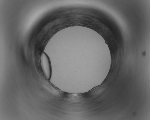 X0000114590239200911301407