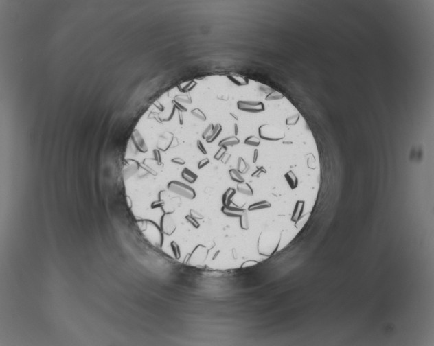 X0000114590240200911301407