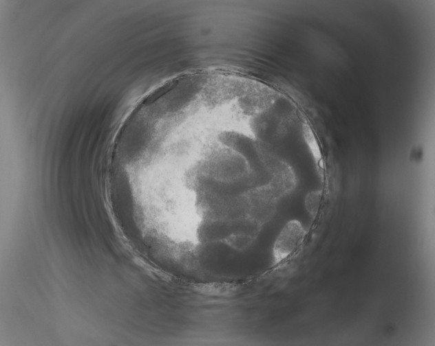 X0000114590241200911301406