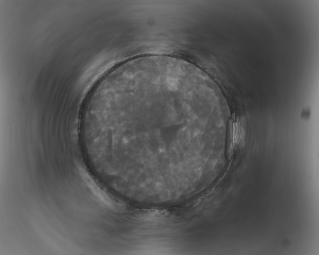 X0000114590243200911301406