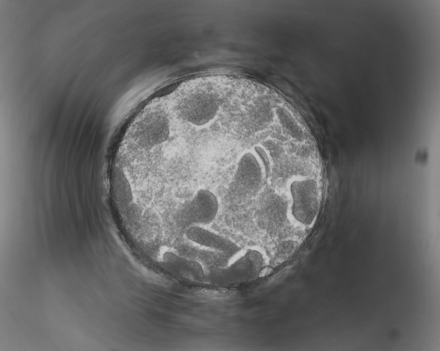 X0000114590245200911301406