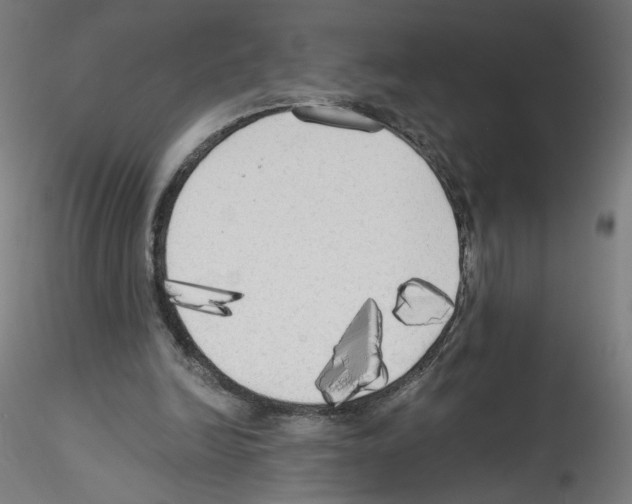X0000114590246200911301406