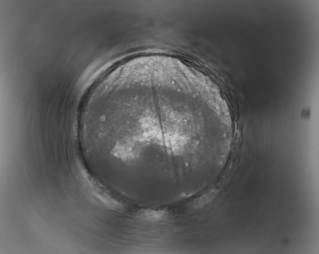 X0000114590247200911301406