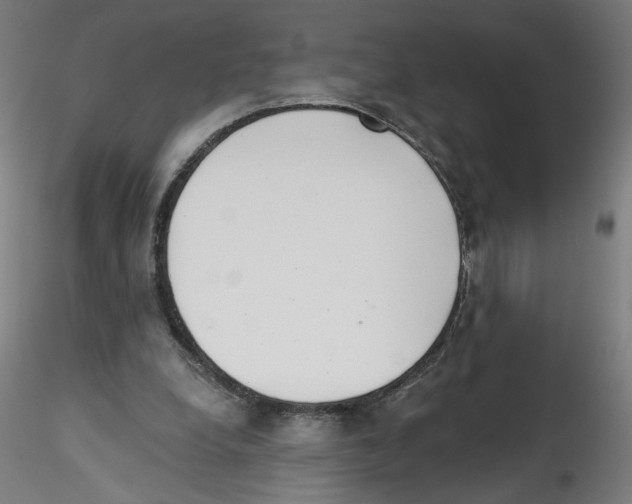 X0000114590248200911301406