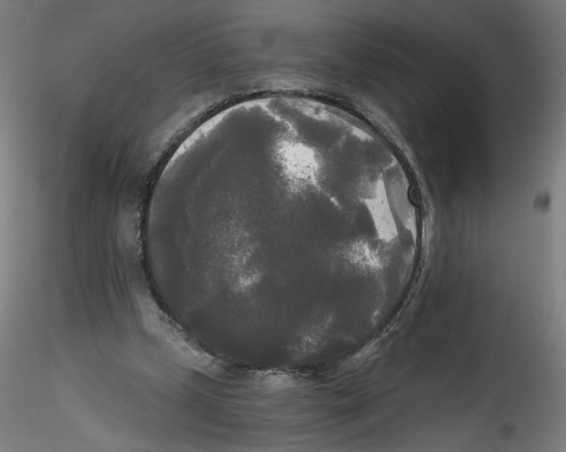 X0000114590249200911301406