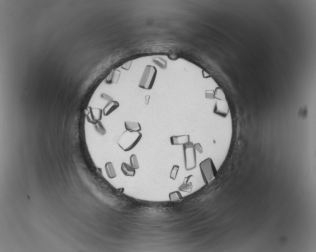 X0000114590250200911301406