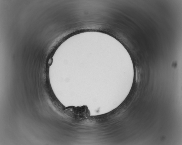 X0000114590252200911301406