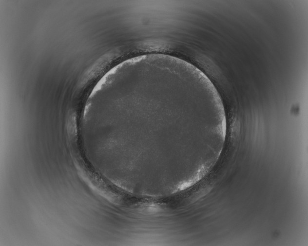 X0000114590254200911301406