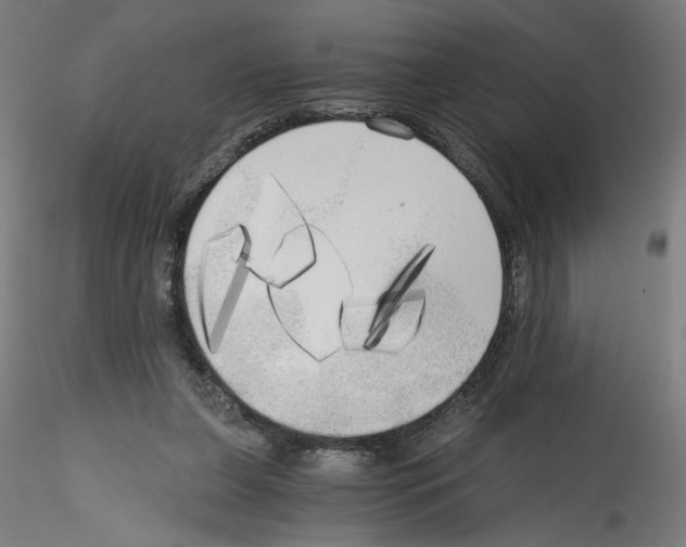 X0000114590255200911301406