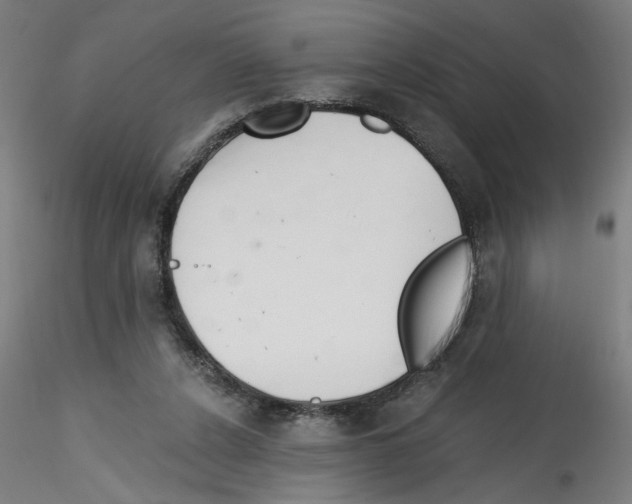 X0000114590256200911301406