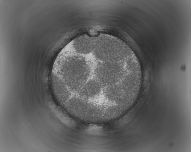 X0000114590257200911301406