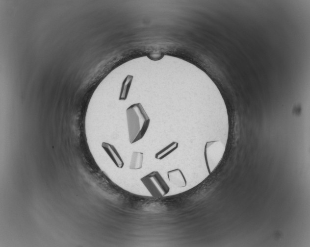 X0000114590258200911301406