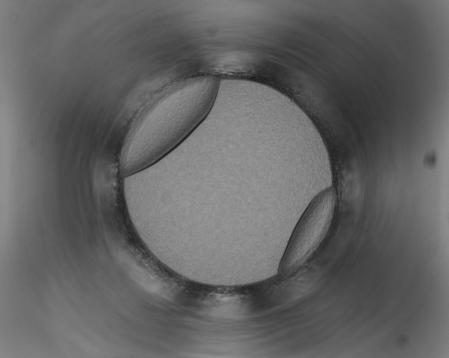 X0000114590260200911301406