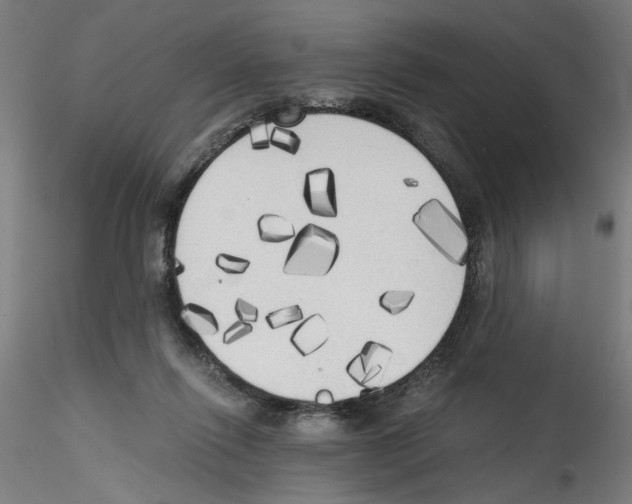 X0000114590262200911301406