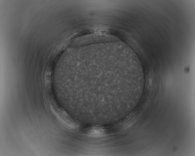 X0000114590263200911301406