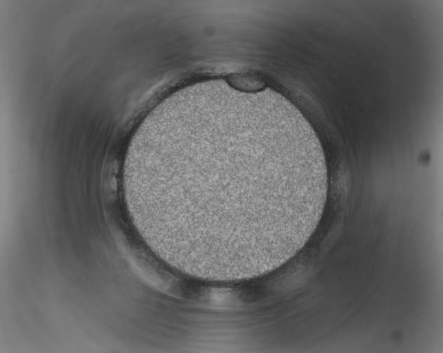 X0000114590264200911301406