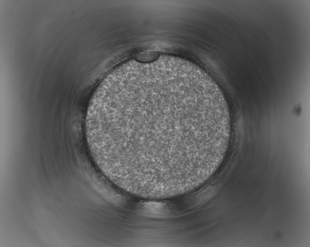 X0000114590265200911301406